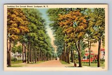 Lockport NY-New York, Looking out Locust Street, Antique Vintage Postcard picture