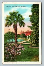 Orlando FL-Florida, A Beauty Spot c1935 Vintage Souvenir Postcard picture