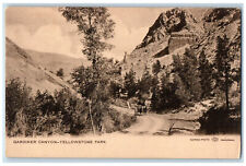 c1905 Gardiner Canyon-Yellowstone Park  Wyoming WY Mountain Dirt Road Postcard picture