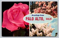 Greetings From Palo Alto California P807 picture