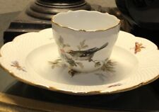 Antique Meissen Porcelain Birds Bugs Insects Demitasse Cup & Saucer Hand Painted picture