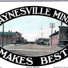 c1910s Paynesville, Minn Downtown Main St Gesme Photo Oval Border Press PC A153 picture