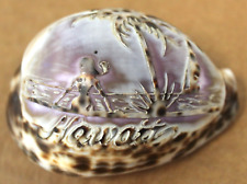 Vintage Hawaii Carved Tiger Cowrie Shell Souvenir picture