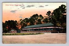 Montgomery AL-Alabama, Pickett Springs, Advertising, Antique Vintage Postcard picture