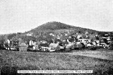 Aerial View Potato Hill Hedgesville West Virginia WV Reprint Postcard picture