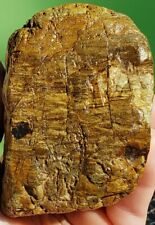 Amazing Rough Natural Petrified Wood  picture