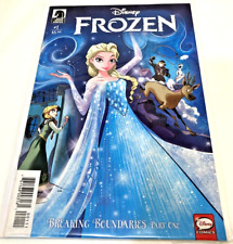 Disney's Frozen #1 Breaking Boundaries Dark Horse Comic VG picture