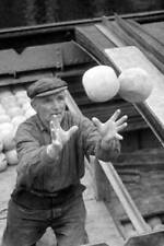 Workman catching two Edam cheeses as he loads them onto a barge fo- 1930s Photo picture