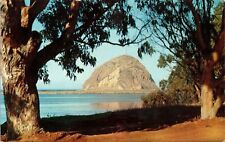 Morro Rock Morro Bay California Pacific Ocean Eucalyptus Tree Chrome Postcard picture