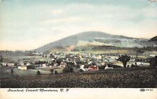 Stamford NY~Birdseye Panorama~Homes Farms~Catskill Mountains~IPCC 28-20~1908 PC picture