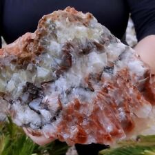 8.3 LB SPECTACULAR LARGE 8 INCH TRICOLOR BANDED CALCITE CRYSTAL - Mexico picture