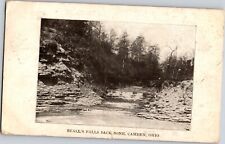 1910 Vintage Real Photo RPPC Postcard Beall's Falls Backbone Camden Ohio picture