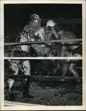1941 Press Photo Lake Worth Florida wrestling match in molasses & feathers picture