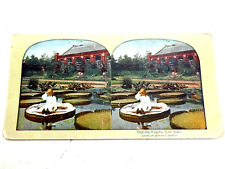 Antique Stereoscope card 1890's Vintage, Victoria Regina on Lily Pad life raft picture