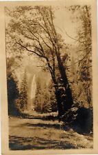 Real Photo RPPC View of Trail Waterfall & Mountains Postcard Divided Posted 1911 picture