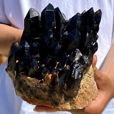 2.64LB Large Natural black Quartz Crystal Cluster Rough Specimen Healing Stone. picture