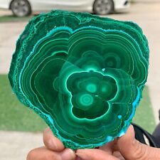 238 gNatural green Malachite crystal slice pattern mineral specimen picture