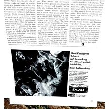 Vintage Skoal Wintergreen Tobacco 1968 Original Ad empherma picture
