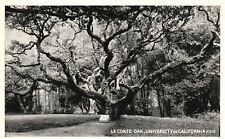 Vintage Postcard 1920's Le Conte Oak University Of California Pacific Novelty picture