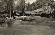 c1924-1949 RPPC Ruidoso River New Mexico NM Real Photo P394 picture
