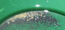 Prospectors 2 Pound Bag Of Twice Concentrated Gold Paydirt + 1 Gram Bonus Gold  picture