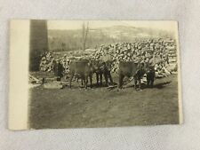 Kids Doing Choirs, Milking?, Sugaring?, Hardwick West End Vermont, 1910 RPPC picture