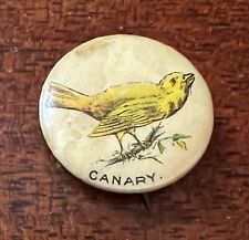 ATQ 1890s CANARY Whitehead & Hoag Pepsin Gum Bird Pinback Button Newark NJ picture