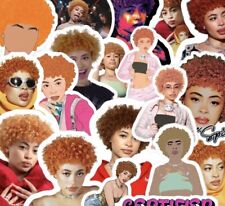 Ice Spice Celebrity Stickers 40 Piece Sticker Set picture