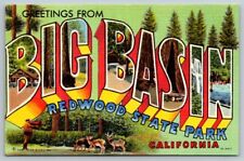 Vintage California Postcard - Large Letter - Big Basin Redwood State Park picture
