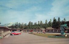 Flagstaff, Arizona Postcard Skyline Motel Route 66  c 1950s   N4 picture
