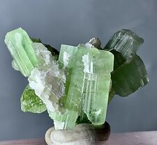 44 Carat Green Tourmaline Crystal Bunch Specimen From Afghanistan picture