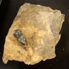 Columbite Crystal Rutherford Mine Amelia Court House Virginia USA picture