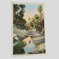 Palm Canyon near Palm Springs CA California Antique Vintage Postcard picture