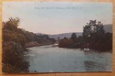 1912 Postcard Walton New York Scene Along Delaware River Greetings Posted picture