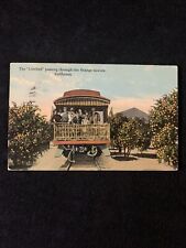 Vintage Postcard c1913 The Limited Passing Through Orange Groves California  CA picture