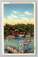 Sarasota FL-Florida, Head Waters of Silver Springs, Antique Vintage Postcard picture