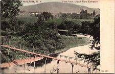Postcard~Walton New York~View From Island Park Entrance~c1906~Unposted picture