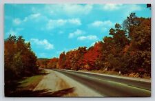 Fall Majesty Autumn Leaves Generic Scenic View Vintage Postcard Unused picture