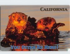 Postcard You Otter Be Here, California, USA picture