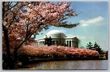Thomas Jefferson Memorial Washington DC Cherry Blossoms Chrome Postcard picture