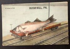 Bushkill PA Huge Exaggerated Fish On Train Car Fantasy Vintage Postcard picture