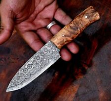 Custom Damascus Hunting Knife Survival Tactical /Hand Forged Damascus Steel 2669 picture