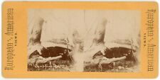 c1900's Rare Stereoview Real Photo Campfire Dreams.  Hunter With Deer Carcass picture