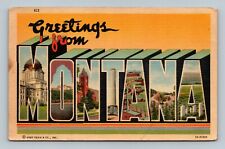  MT Montana Greetings from Large Letter Linen Postcard Missouri Curt Teich picture