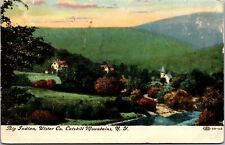 Vtg Big Indian Ulster County Catskill Mountains New York NY 1907 Postcard picture