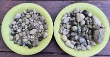 LARGE LOT 150 Unpolished Petoskey Stones Michigan Fossils Coral CRAFT HOBBY picture