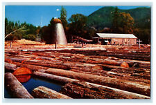 c1950s View of Hundreds of Old Sawmill Oregon OR Unposted Antique Postcard picture