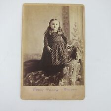 Cabinet Card Photograph Girl Pattern Dress Rosey Briney Raman Darke Ohio Antique picture
