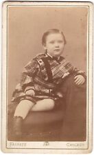 CIRCA 1880s CDV S.M. FASSETT LITTLE GIRL IN DRESS CHICAGO ILLINOIS picture