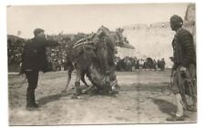RPPC Postcard Men With Camels c. 1900s  picture